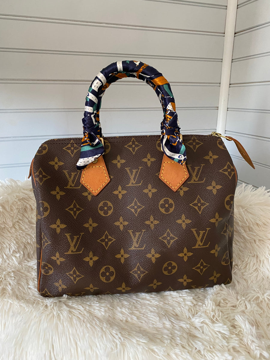 Louis Vuitton Speedy 25 – Happy Camper Products