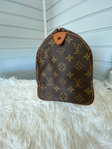 Speedy doctor 25 cloth handbag Louis Vuitton Camel in Cloth - 37013341